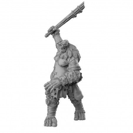 "Duncan Shadow Miniatures - Géants & Titans 3D pour Wargames Fantasy"

