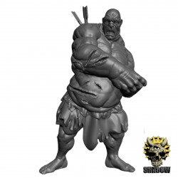 "Duncan Shadow Miniatures - Géants & Titans 3D pour Wargames Fantasy"

