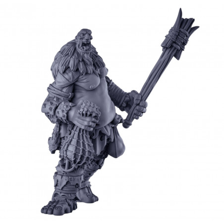 "Duncan Shadow Miniatures - Géants & Titans 3D pour Wargames Fantasy"

