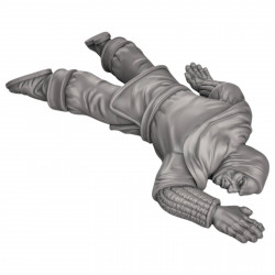 Duncan Shadow - Cadavres humain  (2)
