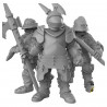  Duncan Shadow - Knights with Polearms 