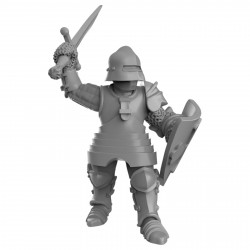  Duncan Shadow -Knights with swords  (2)