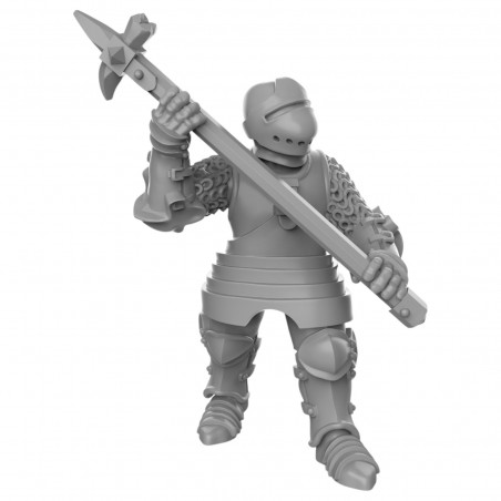  Duncan Shadow -Soldats épées boucliers 