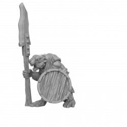  Duncan Shadow - Rat avec bouclier lance  (2)