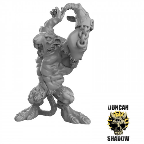  Duncan Shadow - Rats ogres  