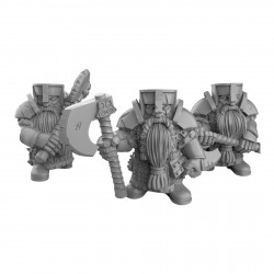 Duncan Shadow - Guerriers Nain hache  