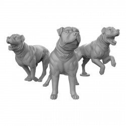 Duncan Shadow - Dogs  
