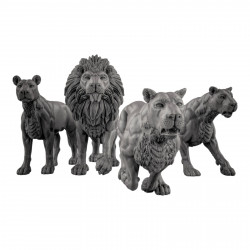 Duncan Shadow - Lions  