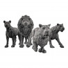 Duncan Shadow - Lions  