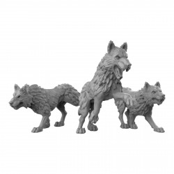 Duncan Shadow - Loups  