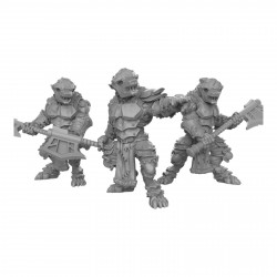 Duncan Shadow - Guerriers loups blindé  