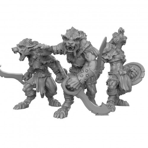 Duncan Shadow - Guerriers loups  