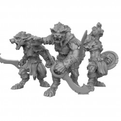 Duncan Shadow - Guerriers loups  