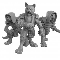 Duncan Shadow - Cat Folk Bandits  