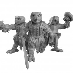 Duncan Shadow - Owl folk with swords  