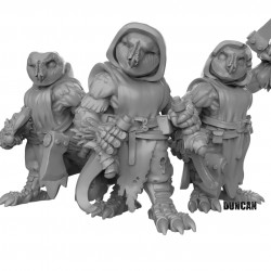 Duncan Shadow -  Owl folk with weapons  