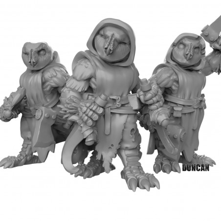Duncan Shadow -  Owl folk with weapons  