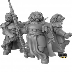Duncan Shadow - Lion Knights  