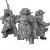 Duncan Shadow - Lion Knights  