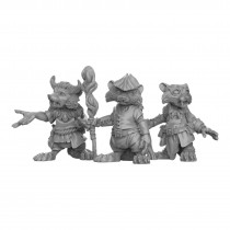 Duncan Shadow - Racoon Folk Druids  