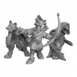 Duncan Shadow - Kitsune Fox Folk Ranger  