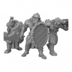 Duncan Shadow - Orcs épée bouclier  