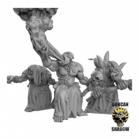 Duncan Shadow - Orcs shamans  