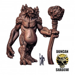 Duncan shadow - Troll Géant 