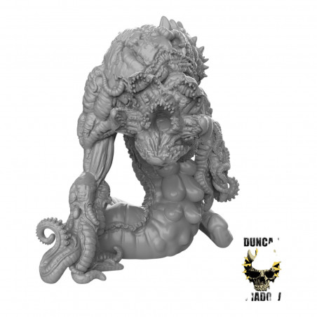 Duncan shadow - Monstre du chaos 