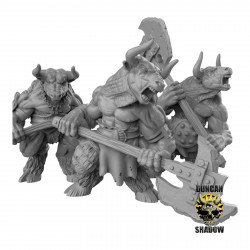 Duncan Shadow - Guerriers minotaures 2  