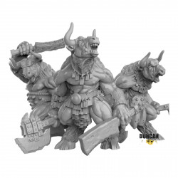 Duncan Shadow - Guerriers minotaures 1  