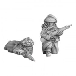 Angleterre Hiver - Sniper 01 