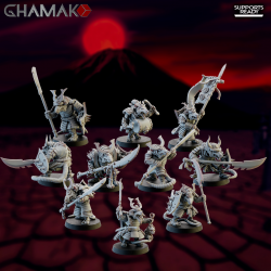 Ronin Warriors  (2)