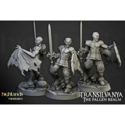 Higlands Miniature-Transilvanya Vlad Valacari V3