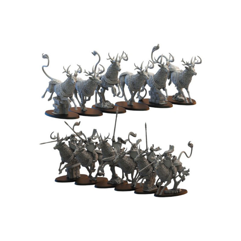 Kingdom of Mercia - Chevaliers du calice    