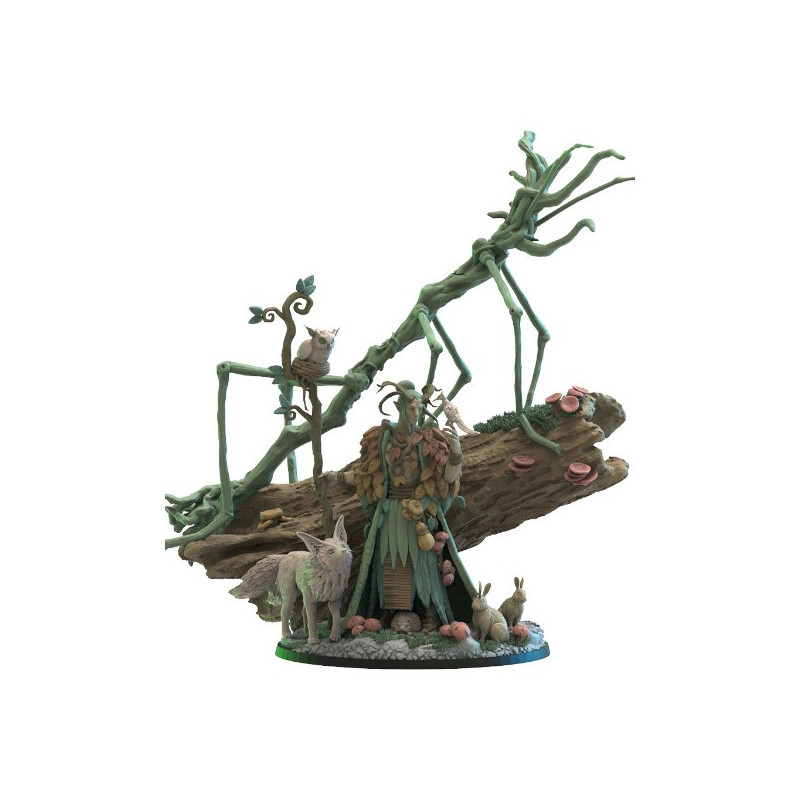 Elfes Mori - Druide Fée  
