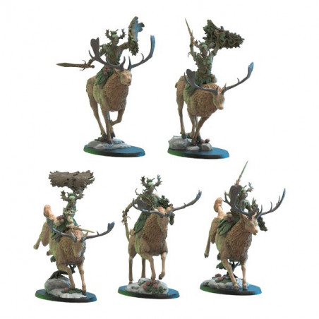 Elfs Mori - Esprits de la forêt   