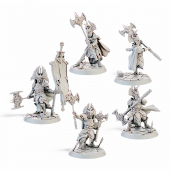 Gate Custodes Elves   