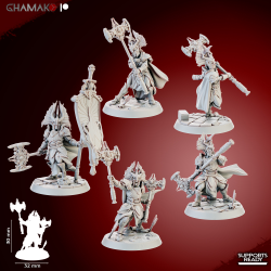 Gate Custodes Elves    (2)