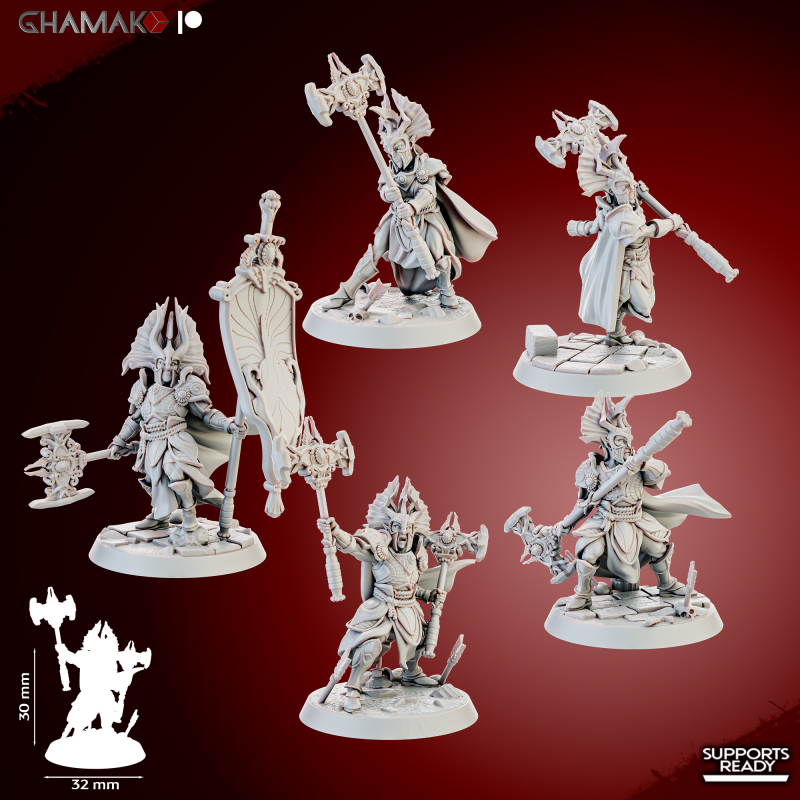 Gate Custodes Elves   