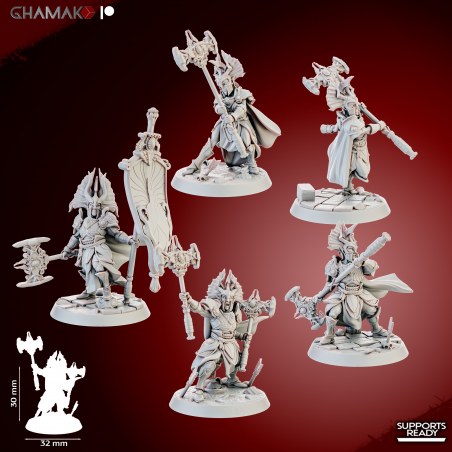 Gate Custodes Elves   