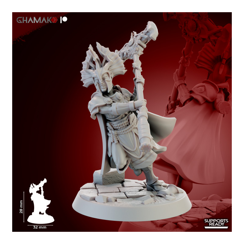 Gate Custodes Elves   