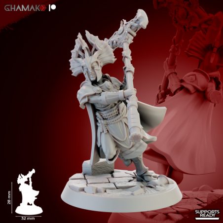Gate Custodes Elves   