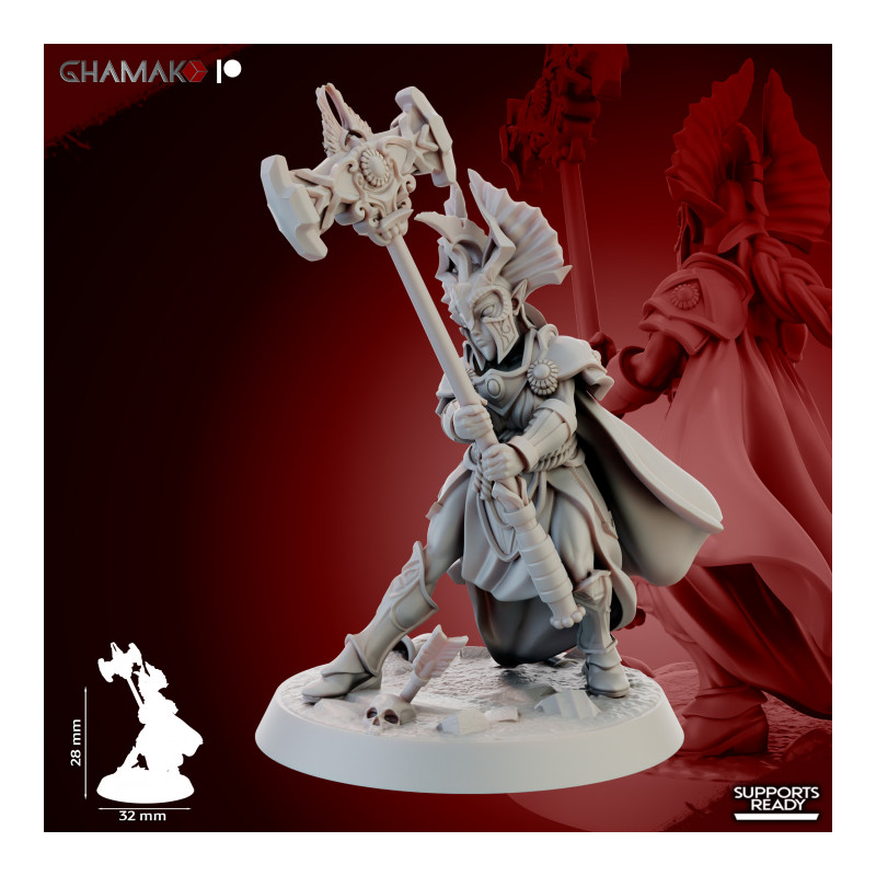 Gate Custodes Elves   