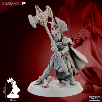 Gate Custodes Elves   
