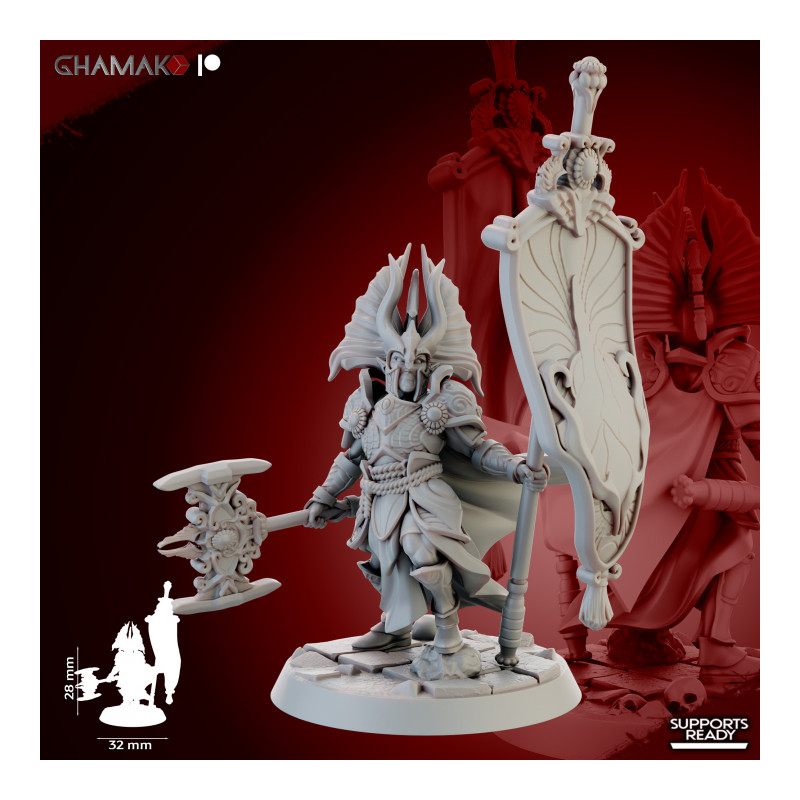 Gate Custodes Elves   