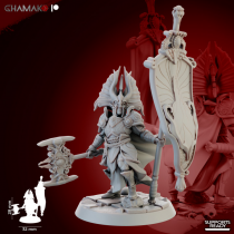 Gate Custodes Elves   