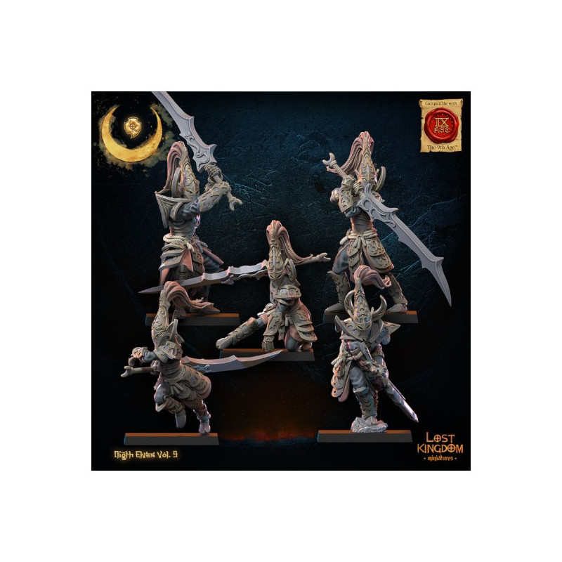Elfes noirs - Corsaires 