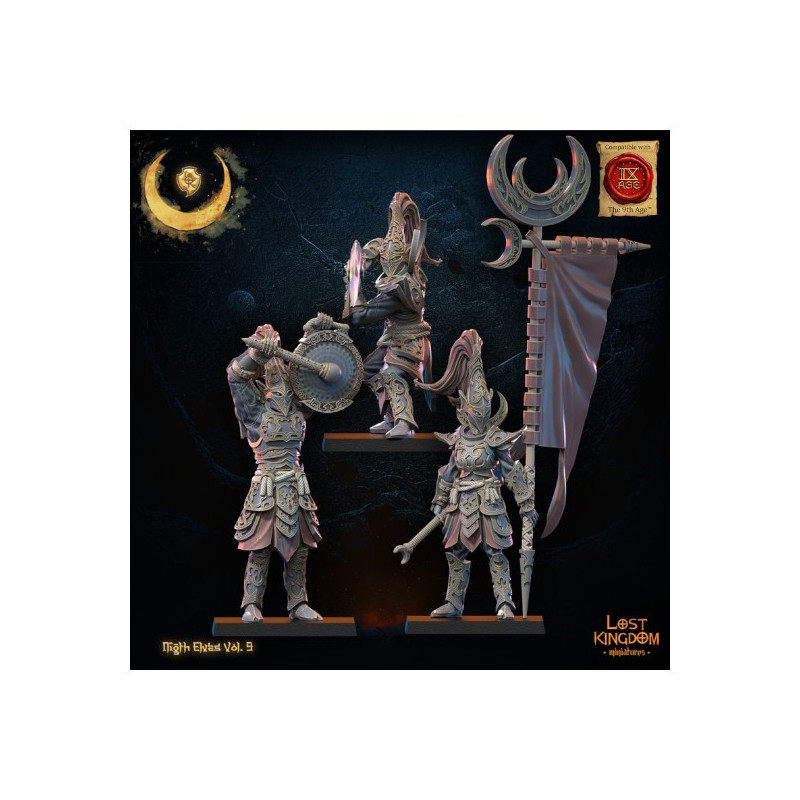 Elfes noirs - Corsaires 