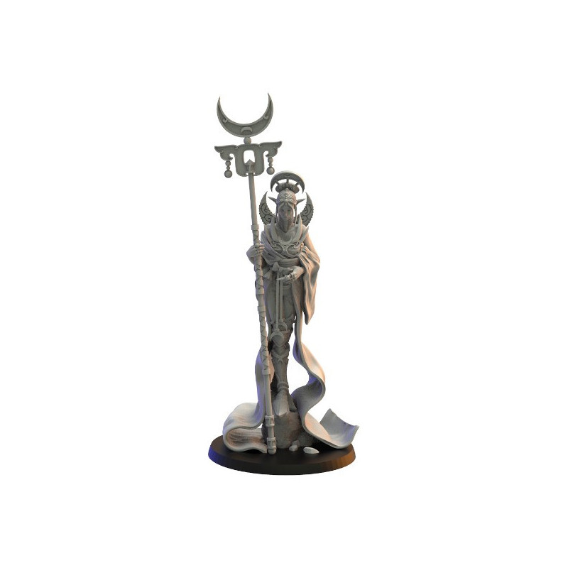 Elfes noirs - Sorcier 